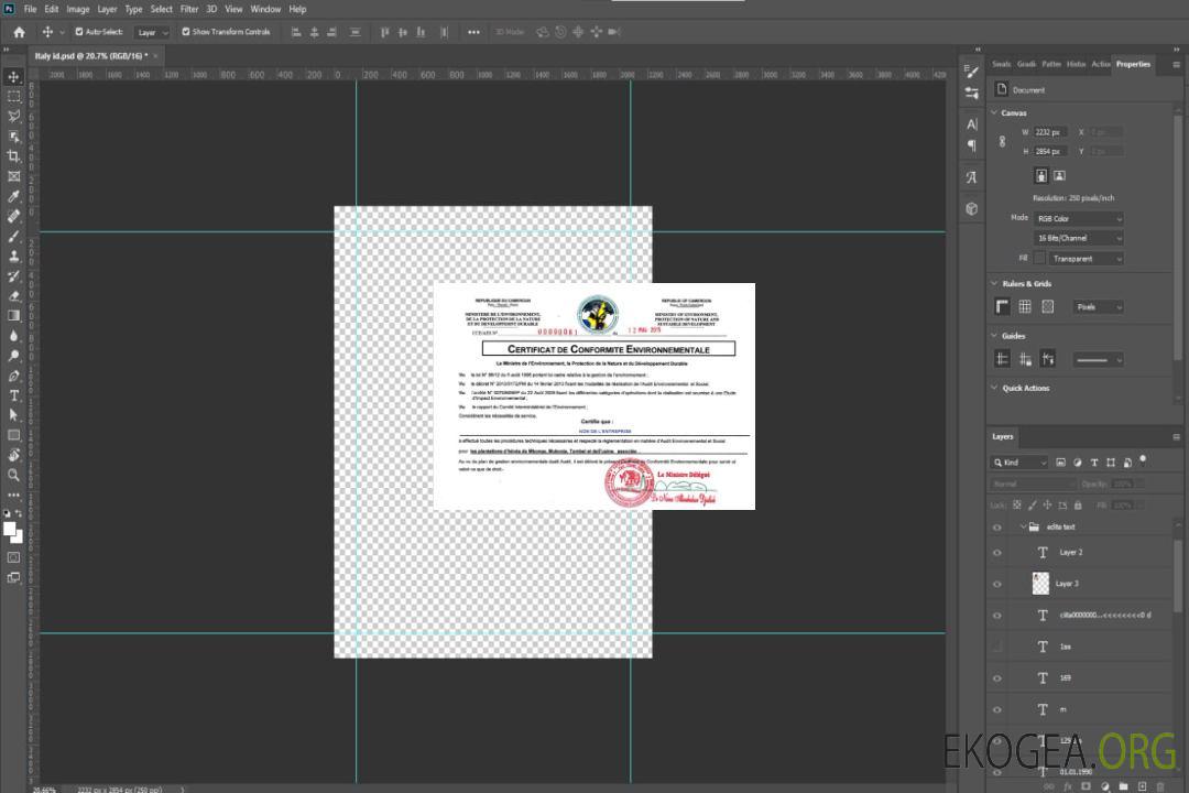 Cameroun Certificat d'enregistrement template